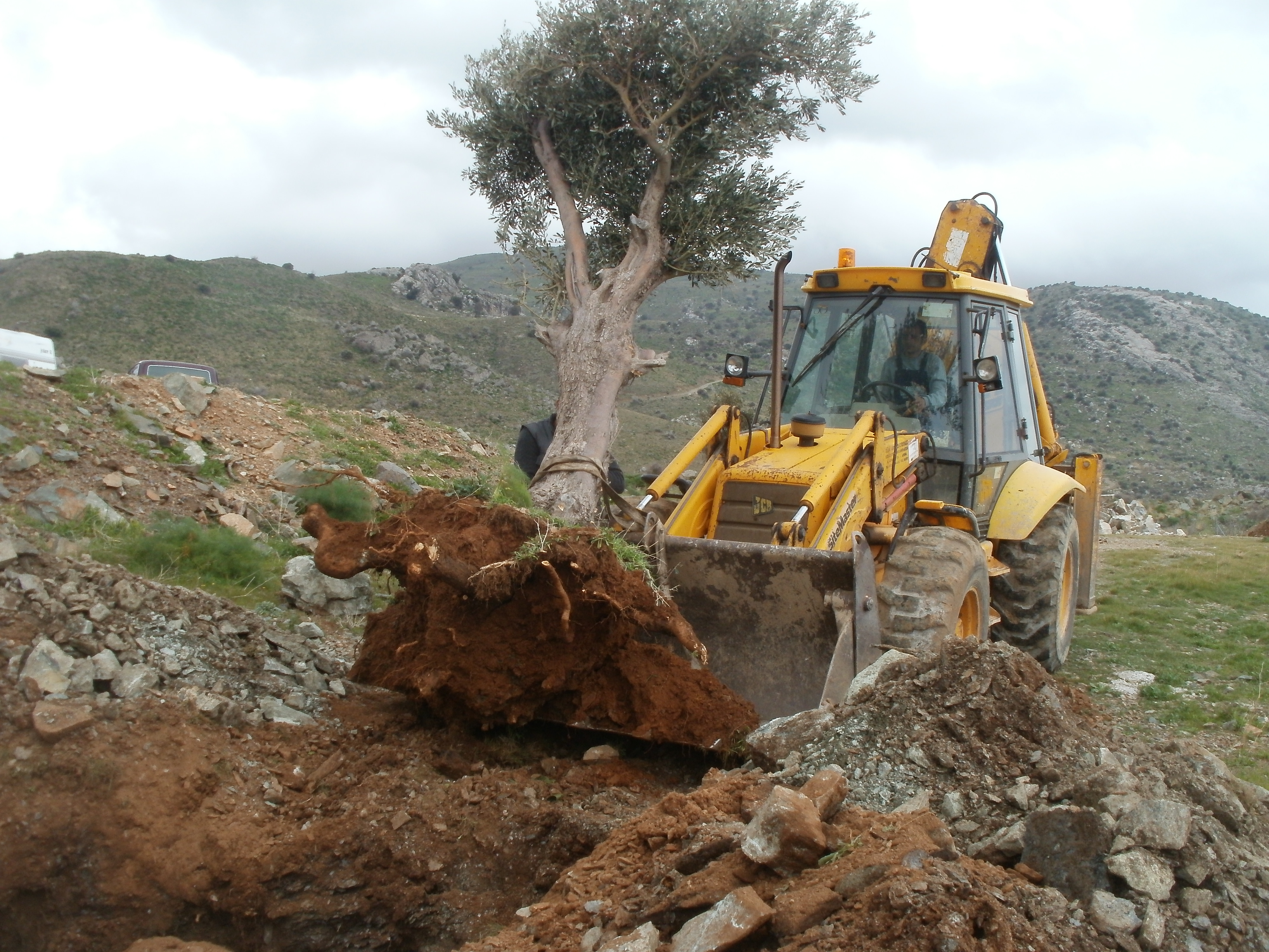 OLYMPUS DIGITAL CAMERA